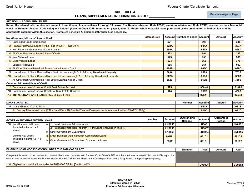 NCUA Form 5300 Call Report, Page 10