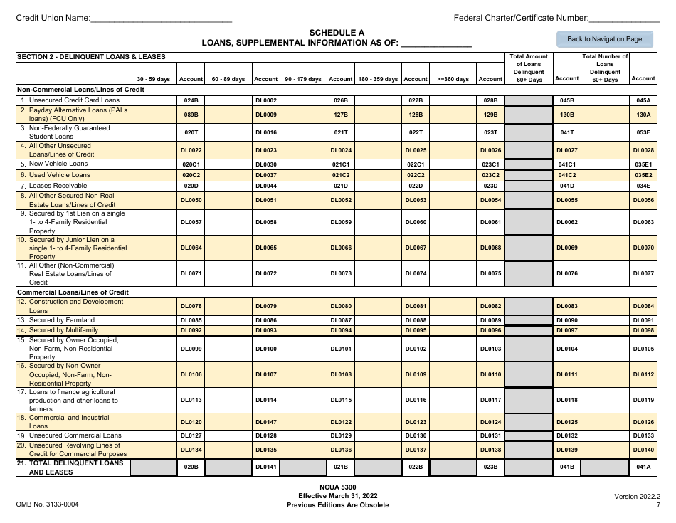 NCUA Form 5300 Call Report, Page 11