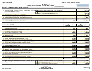 NCUA Form 5300 Call Report, Page 12