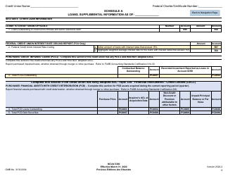 NCUA Form 5300 Call Report, Page 13