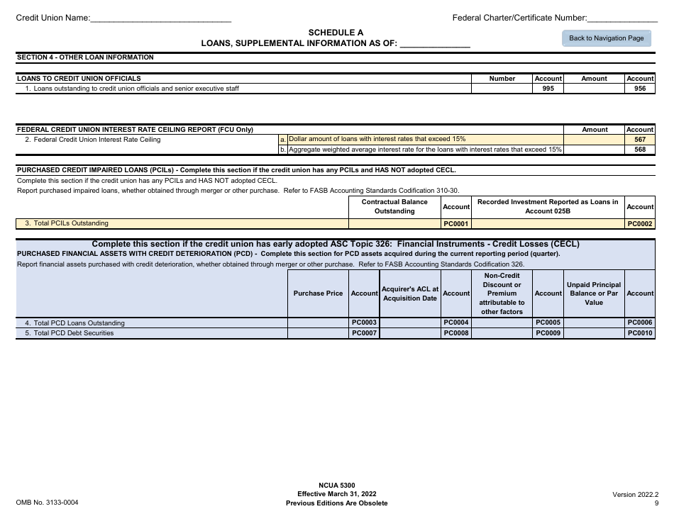 NCUA Form 5300 Call Report, Page 13