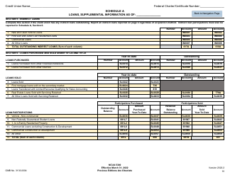 NCUA Form 5300 Call Report, Page 14