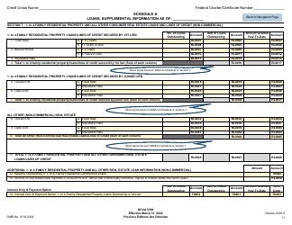 NCUA Form 5300 Call Report, Page 15