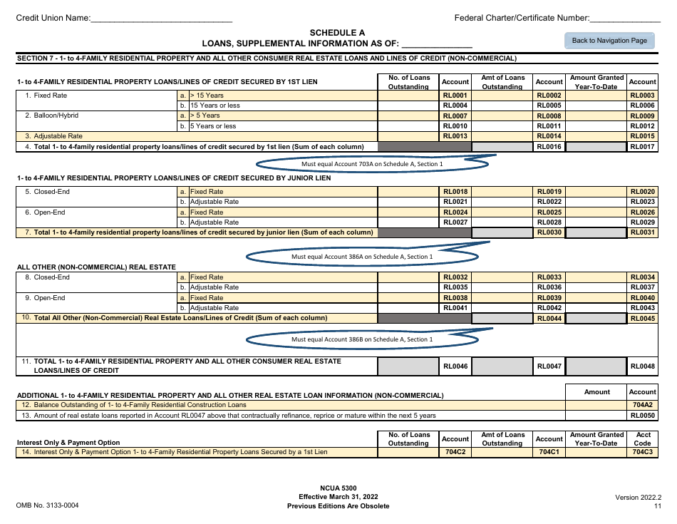NCUA Form 5300 Call Report, Page 15