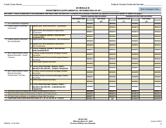 NCUA Form 5300 Call Report, Page 17