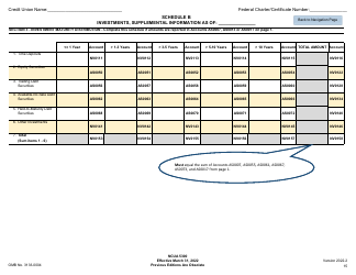 NCUA Form 5300 Call Report, Page 19