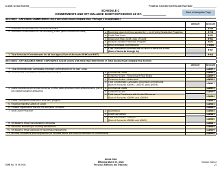 NCUA Form 5300 Call Report, Page 21