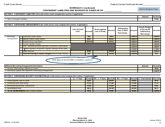 NCUA Form 5300 Call Report, Page 22