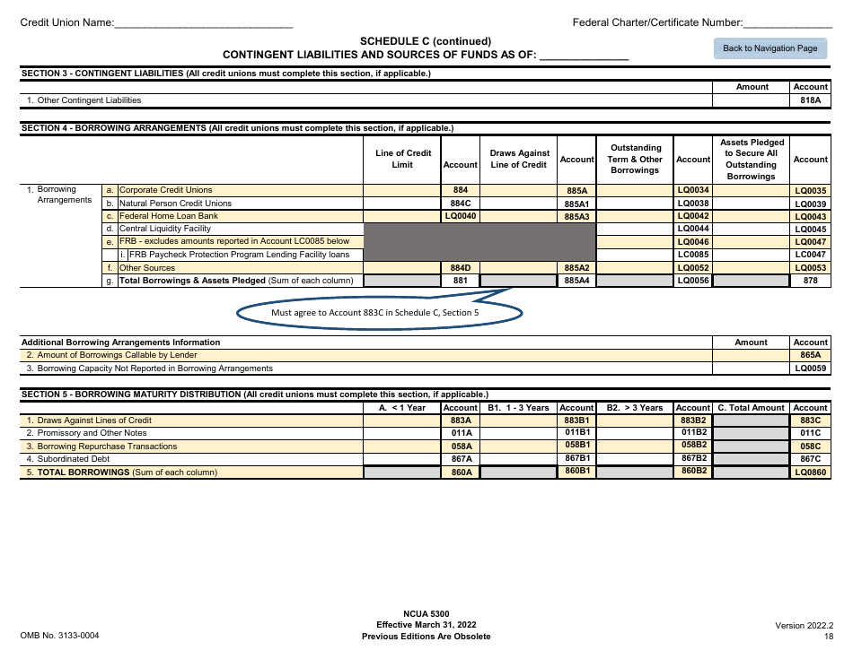 NCUA Form 5300 Call Report, Page 22