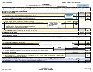 NCUA Form 5300 Call Report, Page 26