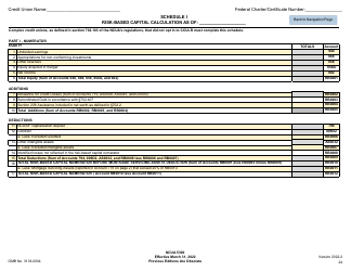 NCUA Form 5300 Call Report, Page 28