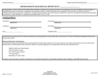 NCUA Form 5300 Call Report, Page 3
