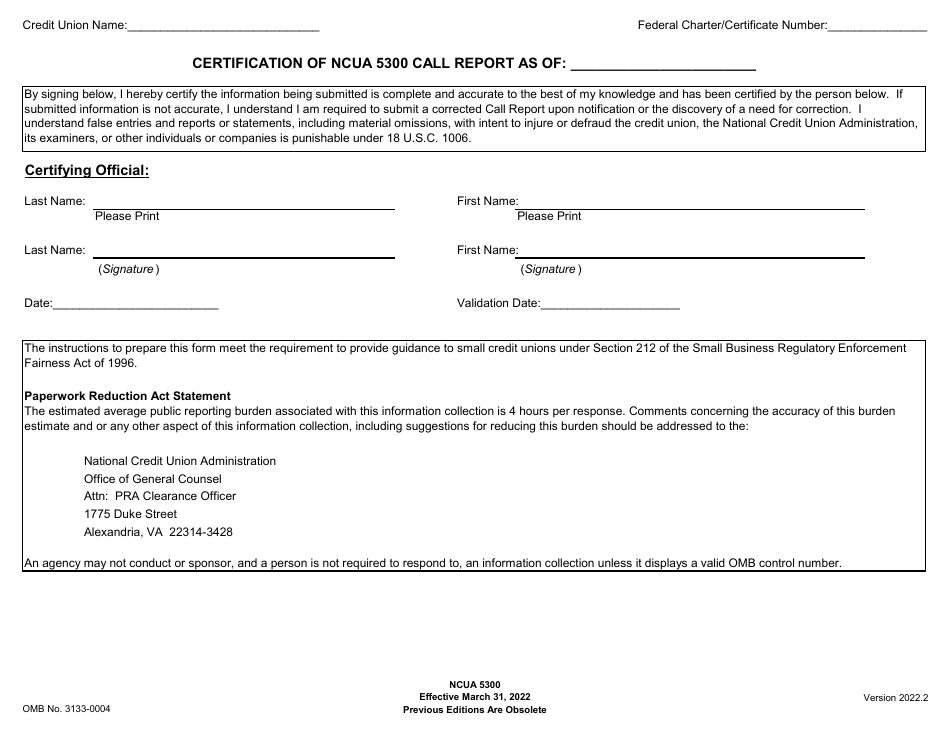 NCUA Form 5300 Call Report, Page 3
