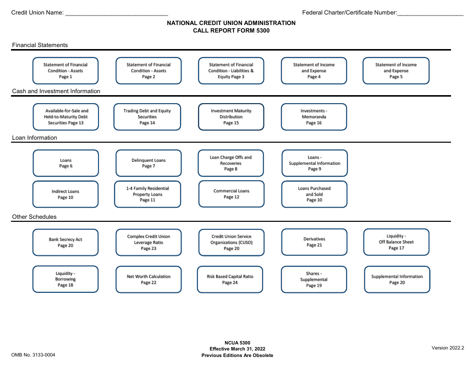 NCUA Form 5300 Call Report, Page 4
