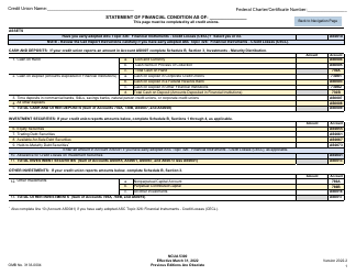 NCUA Form 5300 Call Report, Page 5