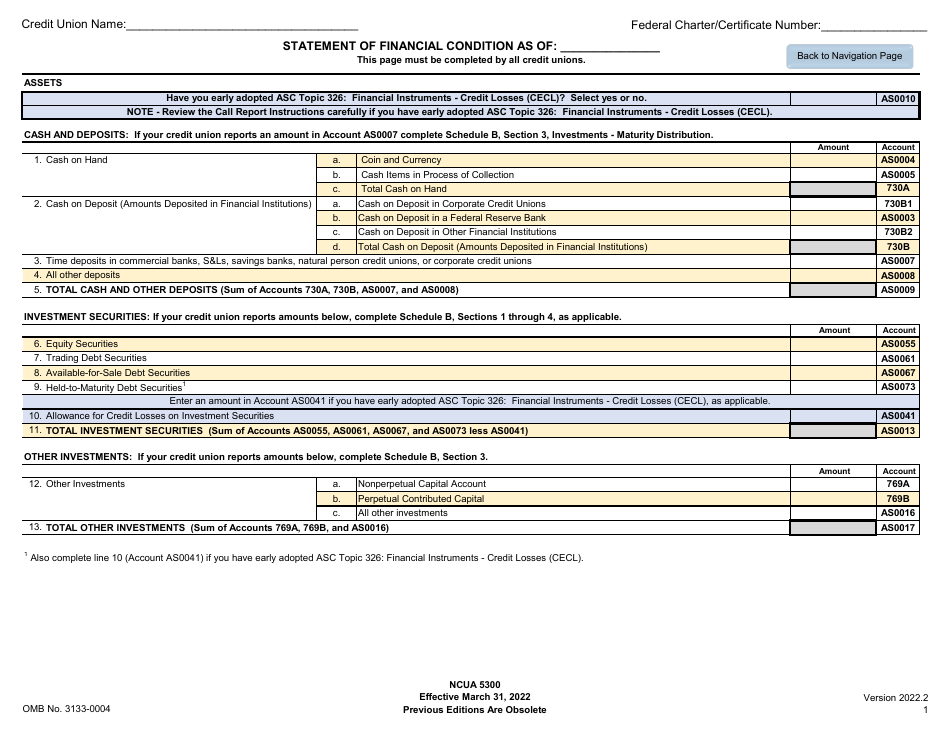 NCUA Form 5300 Call Report, Page 5