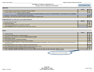 NCUA Form 5300 Call Report, Page 7