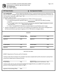 Form RM-11 Cfip Amendment - California