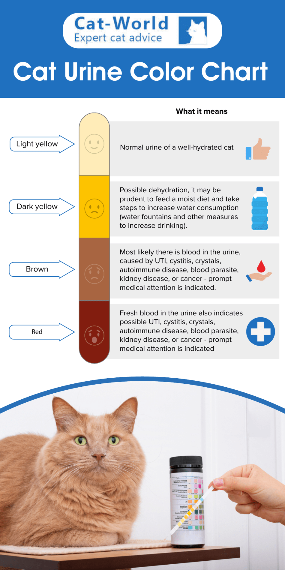 Cat Urine Color Chart - Cat World, Page 1