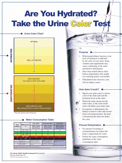 Are You Hydrated? Take the Urine Color Test