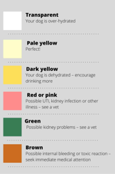 Document preview: Dog Urine Color Chart
