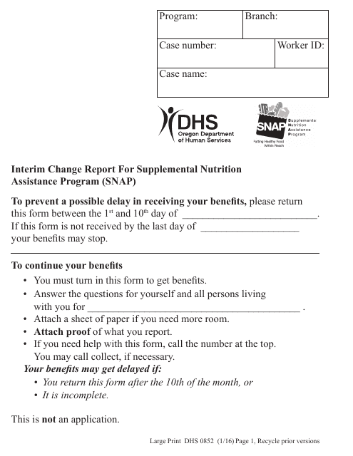 Form DHS0852 Interim Change Report for Supplemental Nutrition Assistance Program (Snap) - Large Print - Oregon