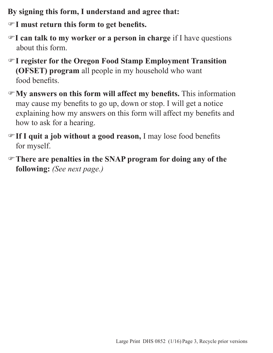 Form DHS0852 Interim Change Report for Supplemental Nutrition Assistance Program (Snap) - Large Print - Oregon, Page 3