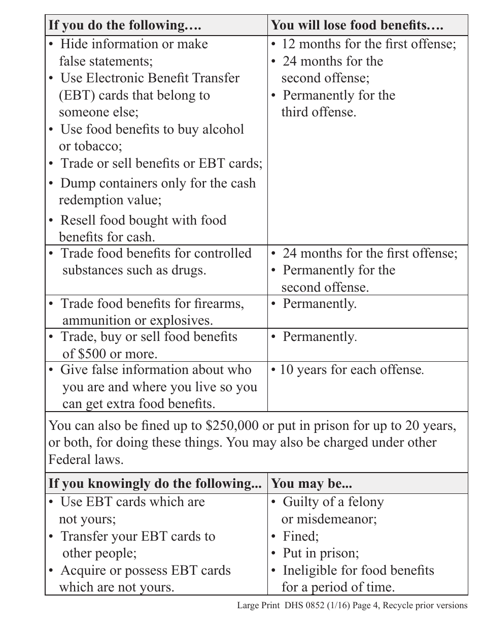 Form DHS0852 Interim Change Report for Supplemental Nutrition Assistance Program (Snap) - Large Print - Oregon, Page 4