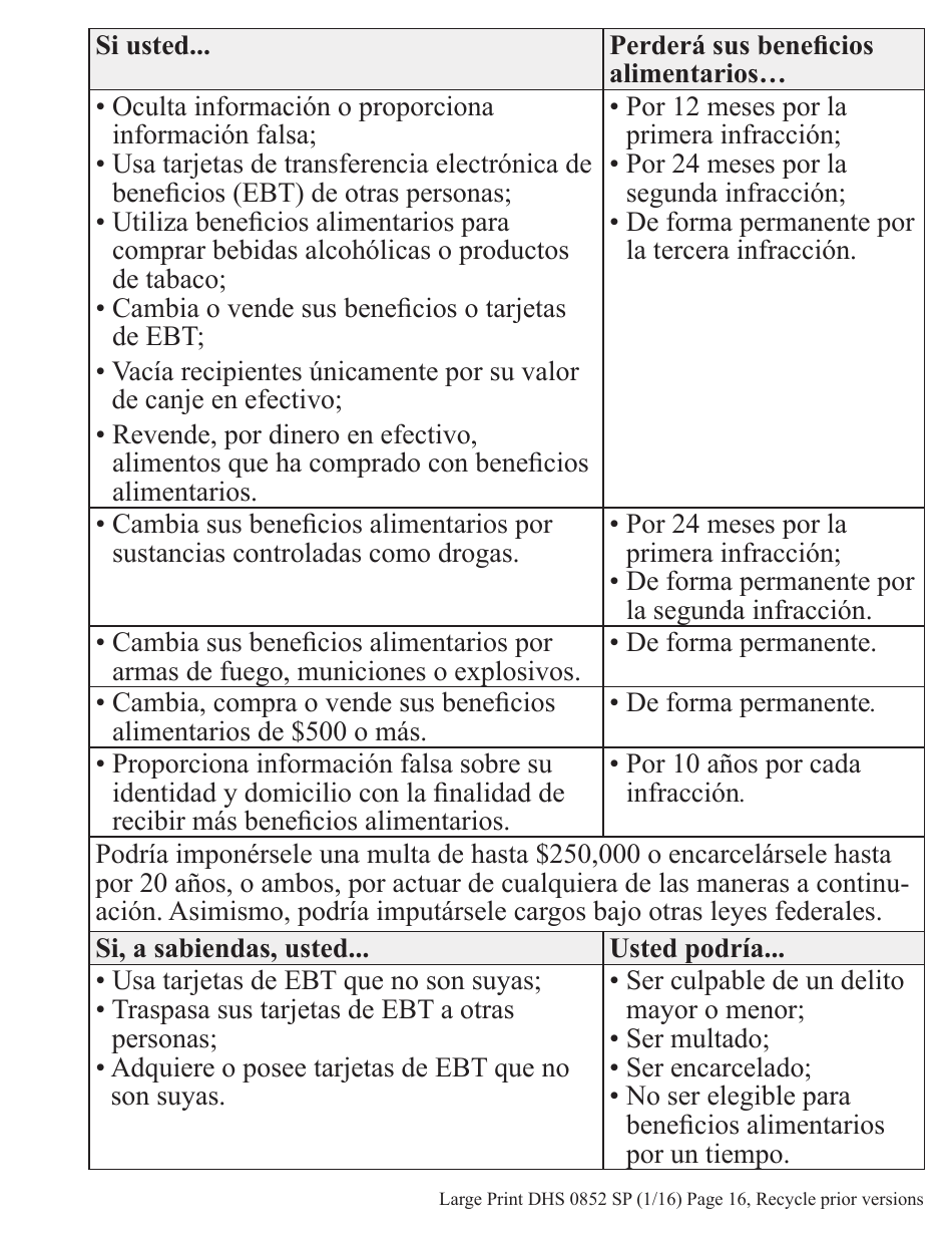 Formulario DHS0852 Informe De Cambio Provisorio Para El Programa De Asistencia De Nutricion Suplementaria (Snap) - Letra Grande - Oregon (Spanish), Page 4