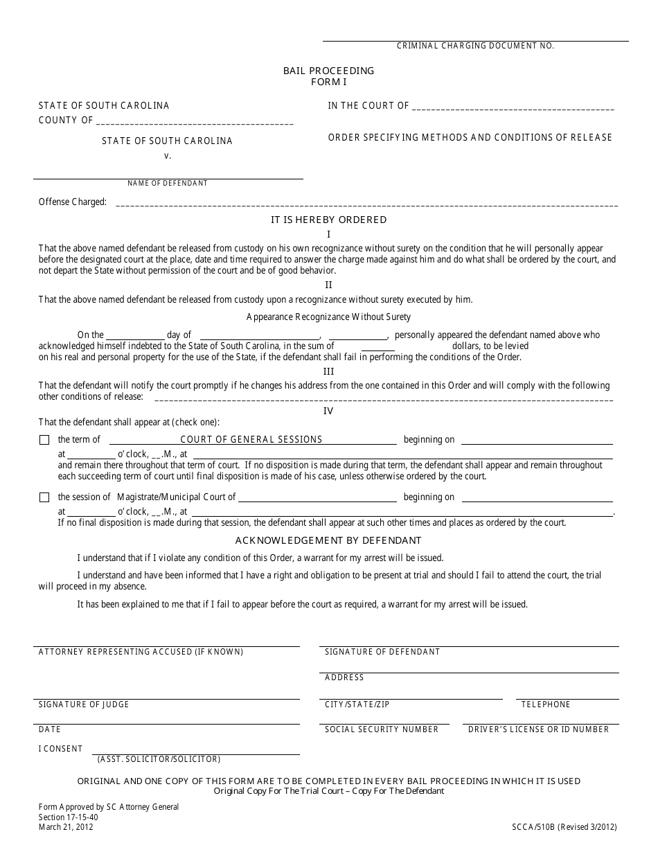 Form I (SCCA / 510B) Bail Proceeding - South Carolina, Page 1