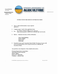Service of Process Form - Montana