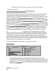 Document preview: Form 275-04-DD Attachment B Independent Accountant's Report on Applying Agreed-Upon Procedures - South Carolina