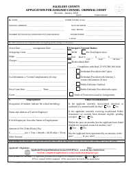 Application for Assigned Counsel -criminal Court - Allegany County, New York