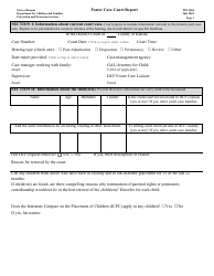 Document preview: Form PPS3004 Foster Care Court Report - Kansas