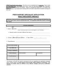 Certified Peer Support Specialist Professional Adult/Recovery Training Application - Mississippi, Page 7