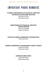 Emergency Financial Preparedness Toolkit - Florida, Page 4