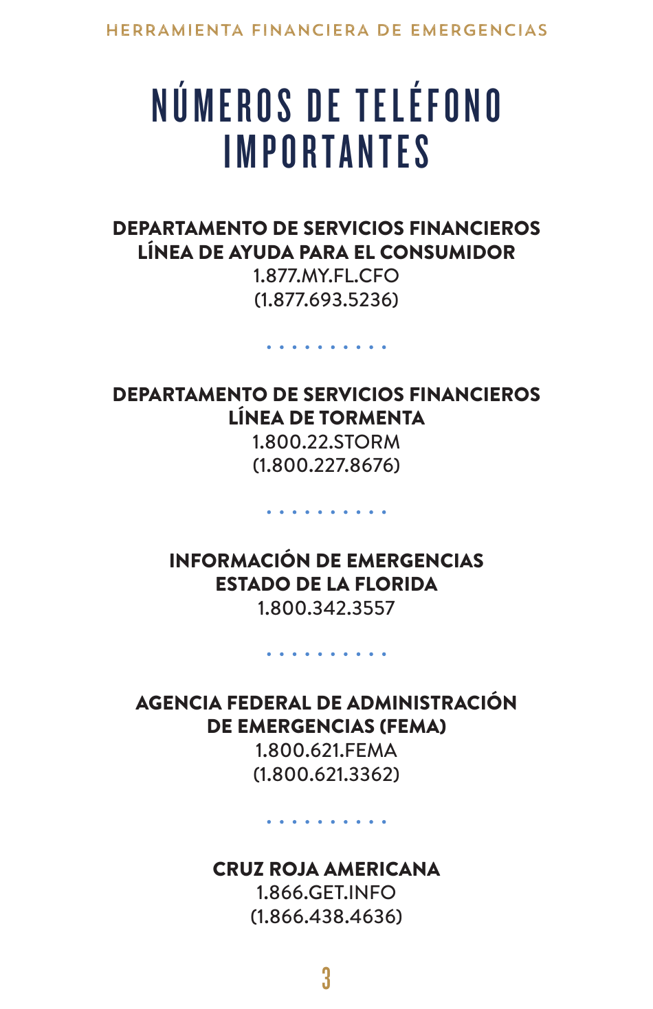 Financiera De Emergencias Juego De Herramientas - Florida (Spanish), Page 4
