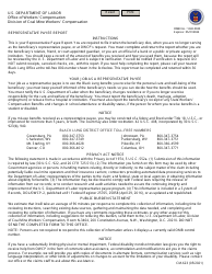 Document preview: Form CM-623 Representative Payee Report