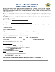 Document preview: Florida Youth Foundation Youth Investment Award Application - Florida