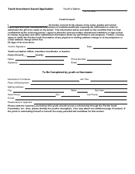 Florida Youth Foundation Youth Investment Award Application - Florida, Page 2