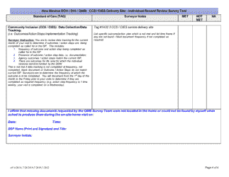 New Mexico Doh/Dhi/Qmb: Ccs/Cies Delivery Site - Individual Record Review Survey Tool - New Mexico, Page 4