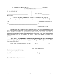 Form GPCSF5 Petition to Probate Will in Solemn Form - Georgia (United States), Page 19