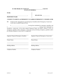Form GPCSF11 Petition for Appointment of an Emergency Guardian and/or Emergency Conservator for a Proposed Ward - Georgia (United States), Page 12