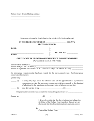 Form GPCSF11 Petition for Appointment of an Emergency Guardian and/or Emergency Conservator for a Proposed Ward - Georgia (United States), Page 31