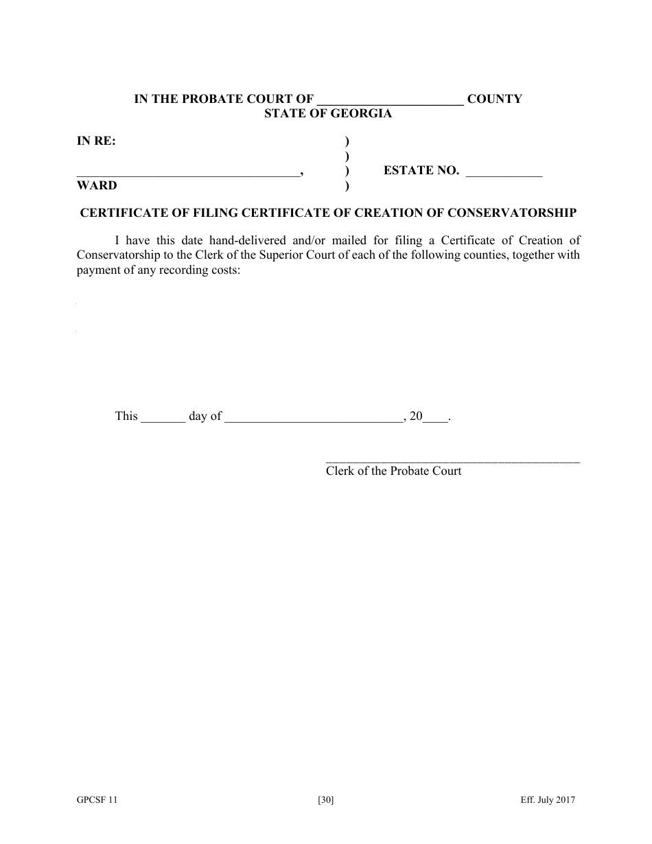 Form GPCSF11 Petition for Appointment of an Emergency Guardian and / or Emergency Conservator for a Proposed Ward - Georgia (United States), Page 32