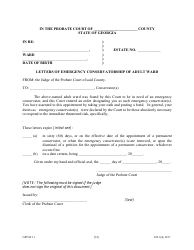 Form GPCSF11 Petition for Appointment of an Emergency Guardian and/or Emergency Conservator for a Proposed Ward - Georgia (United States), Page 34