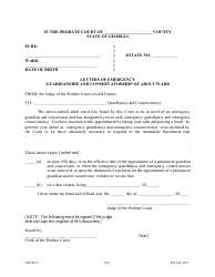Form GPCSF11 Petition for Appointment of an Emergency Guardian and/or Emergency Conservator for a Proposed Ward - Georgia (United States), Page 35
