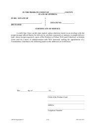 Supplement 5 Supplement to Petition Seeking Appointment as Testamentary Guardian - Georgia (United States), Page 13
