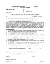 Supplement 5 Supplement to Petition Seeking Appointment as Testamentary Guardian - Georgia (United States), Page 14