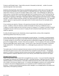 Instructions for Fiduciary and Related Services Report - South Dakota, Page 2